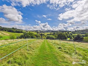 Paddocks- click for photo gallery